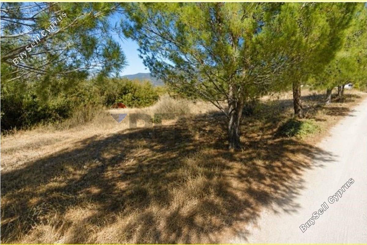 land for sale doros limassol 8966669 image 17842570
