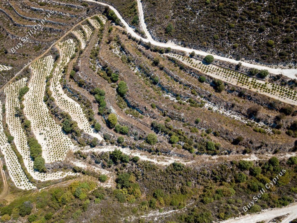 land for sale pachna limassol 8785669 image 16656199