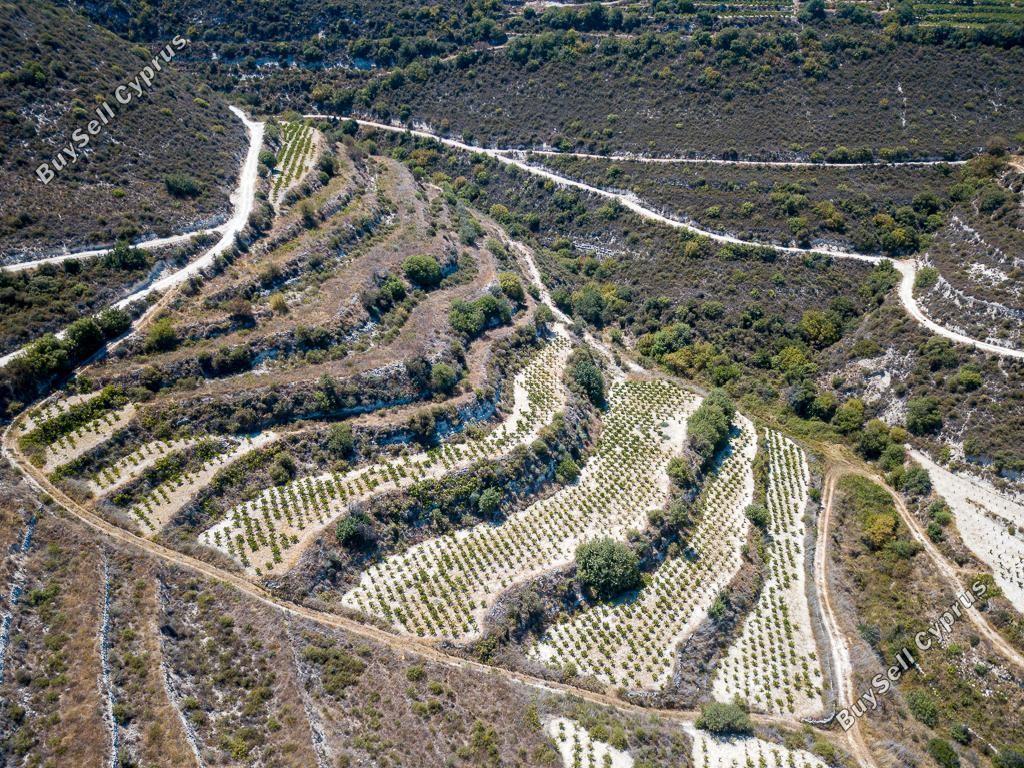 land for sale pachna limassol 8785669 image 16656200