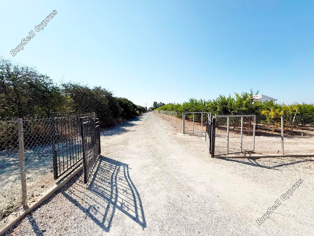 7 bedroom detached house for rent peyia paphos 8866769 image 17732809