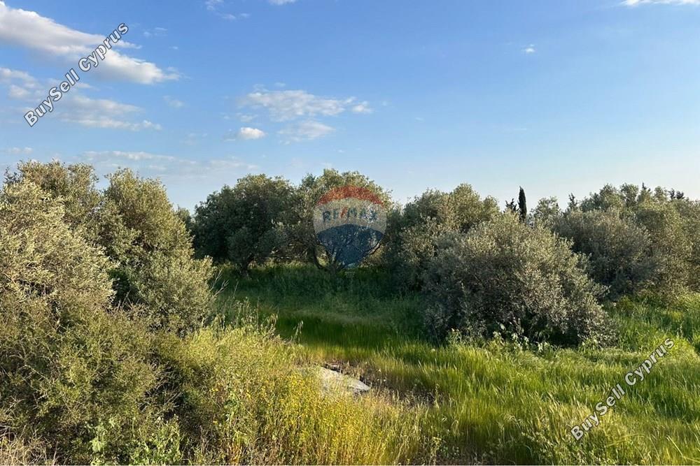 land for sale anarita paphos 8537769 image 15496702
