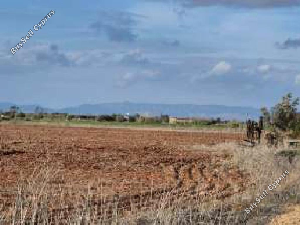 land for sale avgorou famagusta 8628769 image 15864067