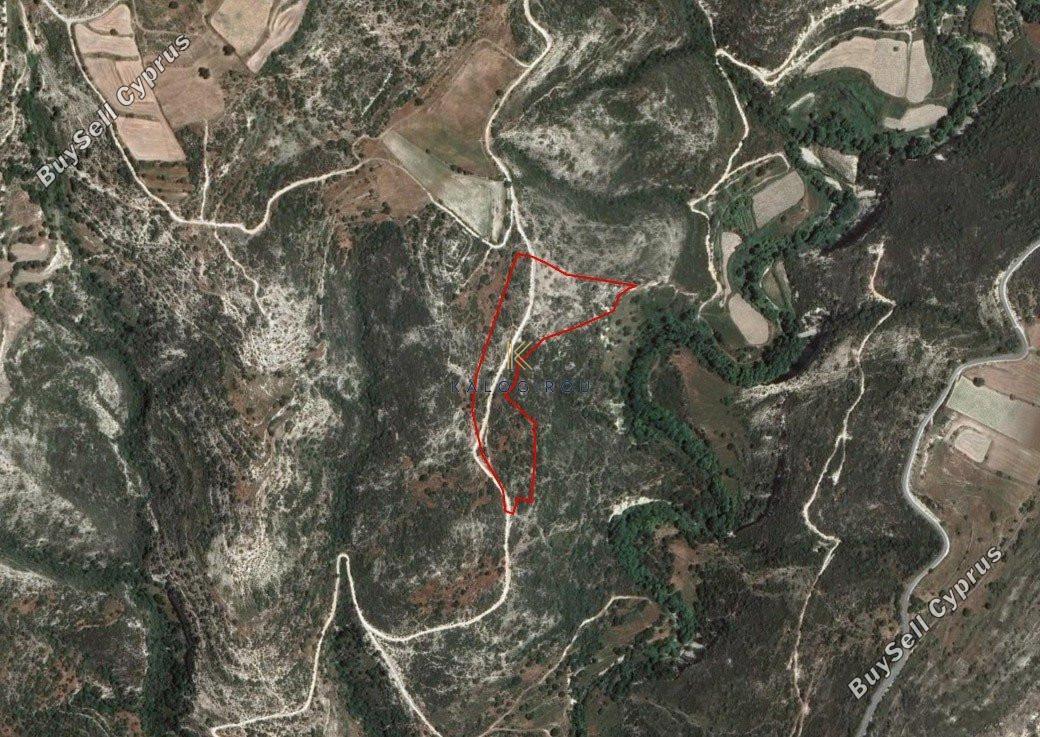 land for sale dora limassol 1194769 image 5570410