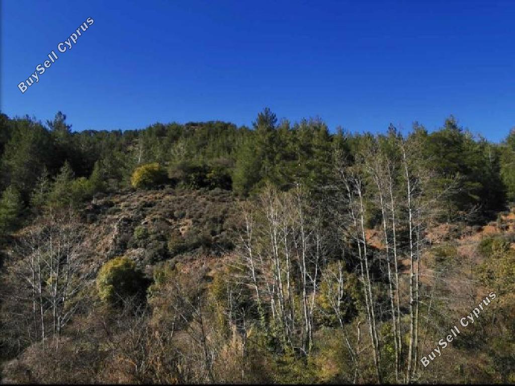 land for sale kaminaria limassol 945769 image 15602254