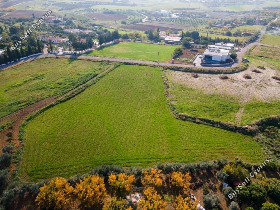 land for sale anarita paphos 1354869 image 5611381