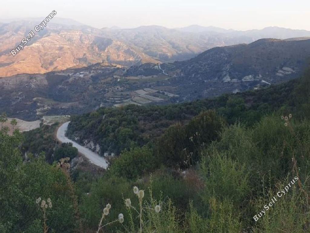 land for sale dora limassol 1707869 image 15597522