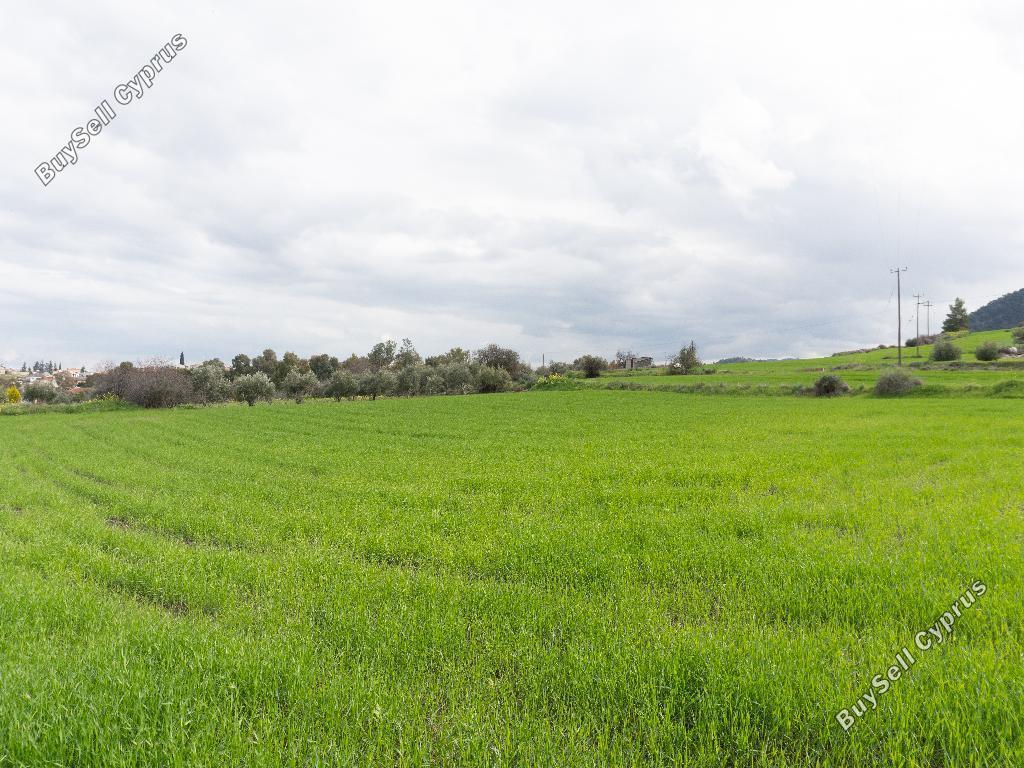 land for sale klirou nicosia 1262869 image 15599338