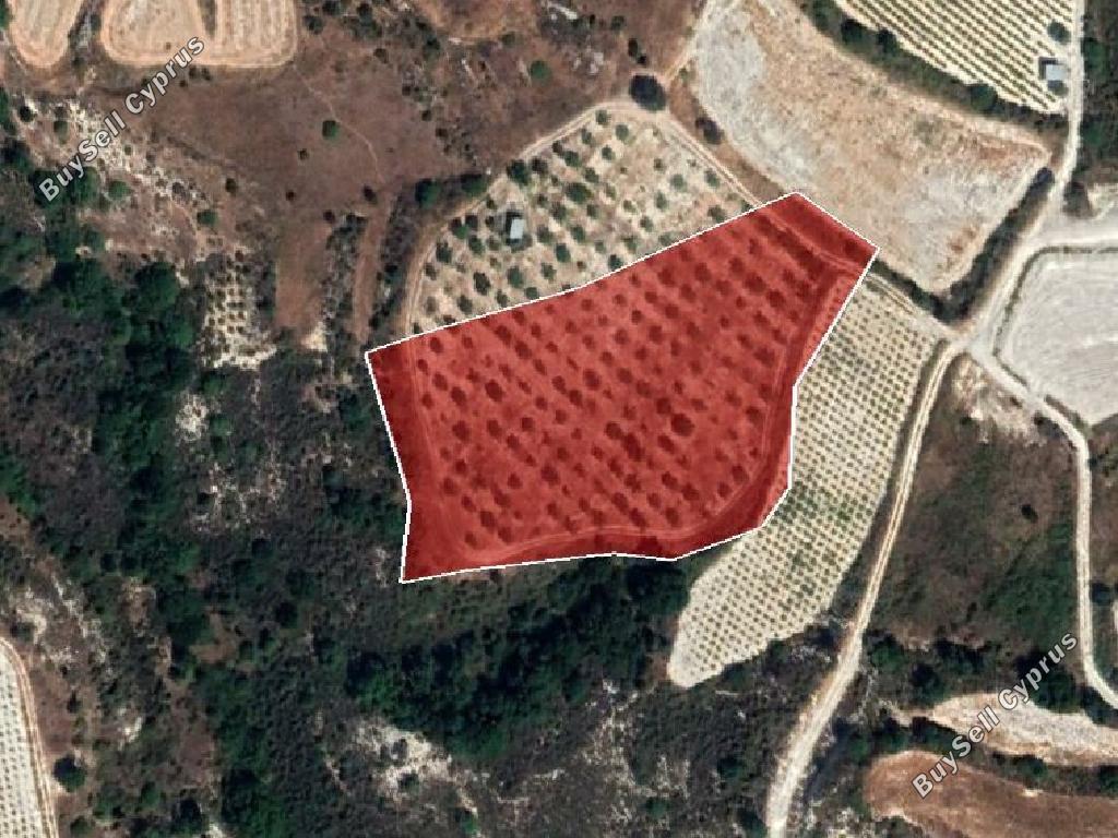 land for sale pachna limassol 945869 image 15602523