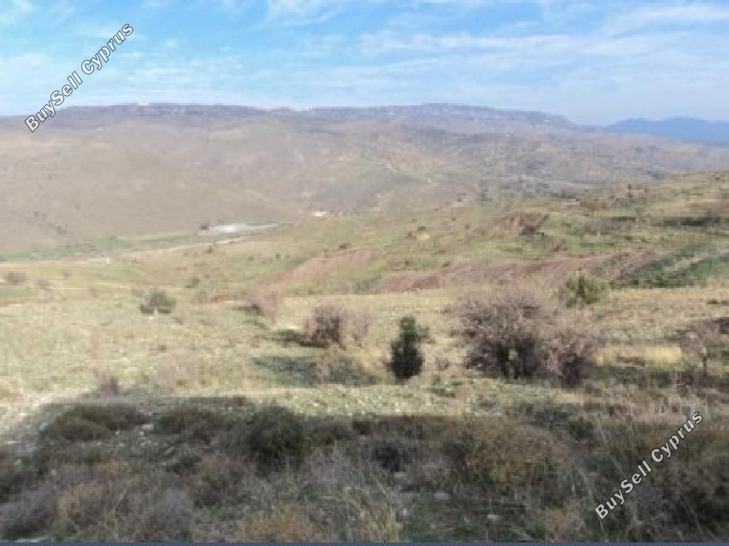land for sale salamiou paphos 8467969 image 15595017