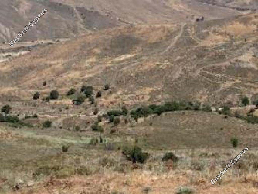 land for sale salamiou paphos 8467969 image 15595018