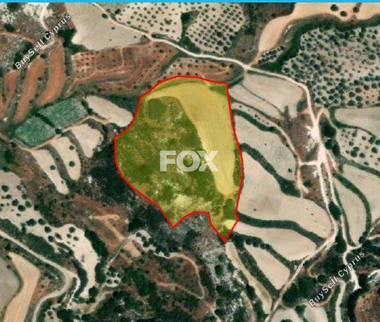 land for sale theletra paphos 1159969 image 5534641