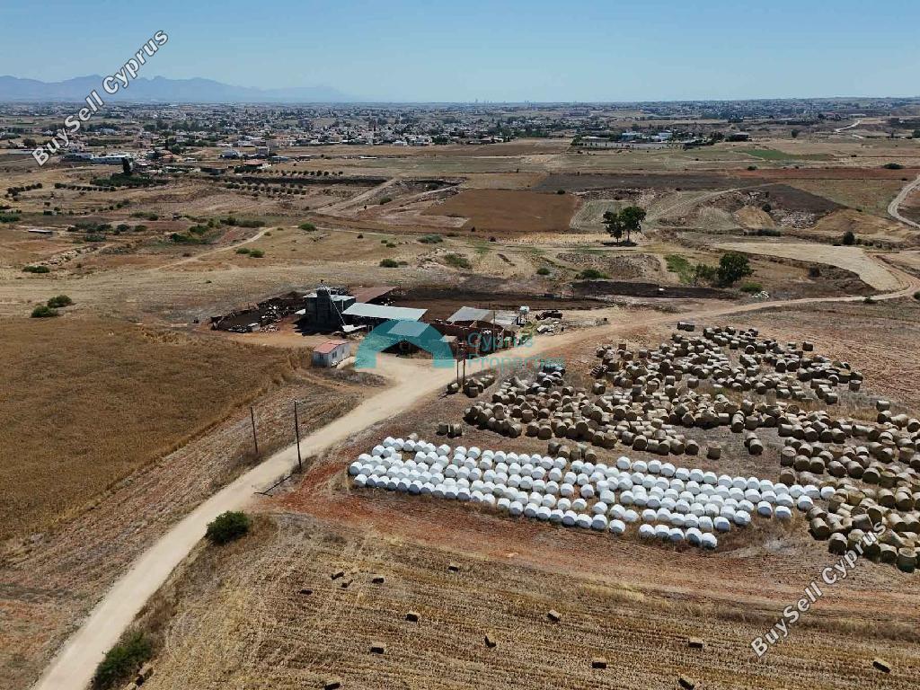 studio warehouse for sale palaiometocho nicosia 8907969 image 17396151