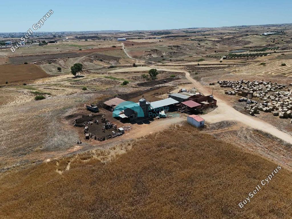 studio warehouse for sale palaiometocho nicosia 8907969 image 17396157
