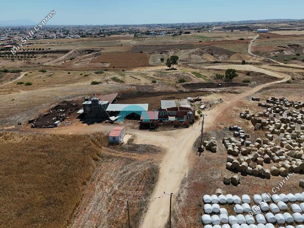 studio warehouse for sale palaiometocho nicosia 8907969 image 17396159