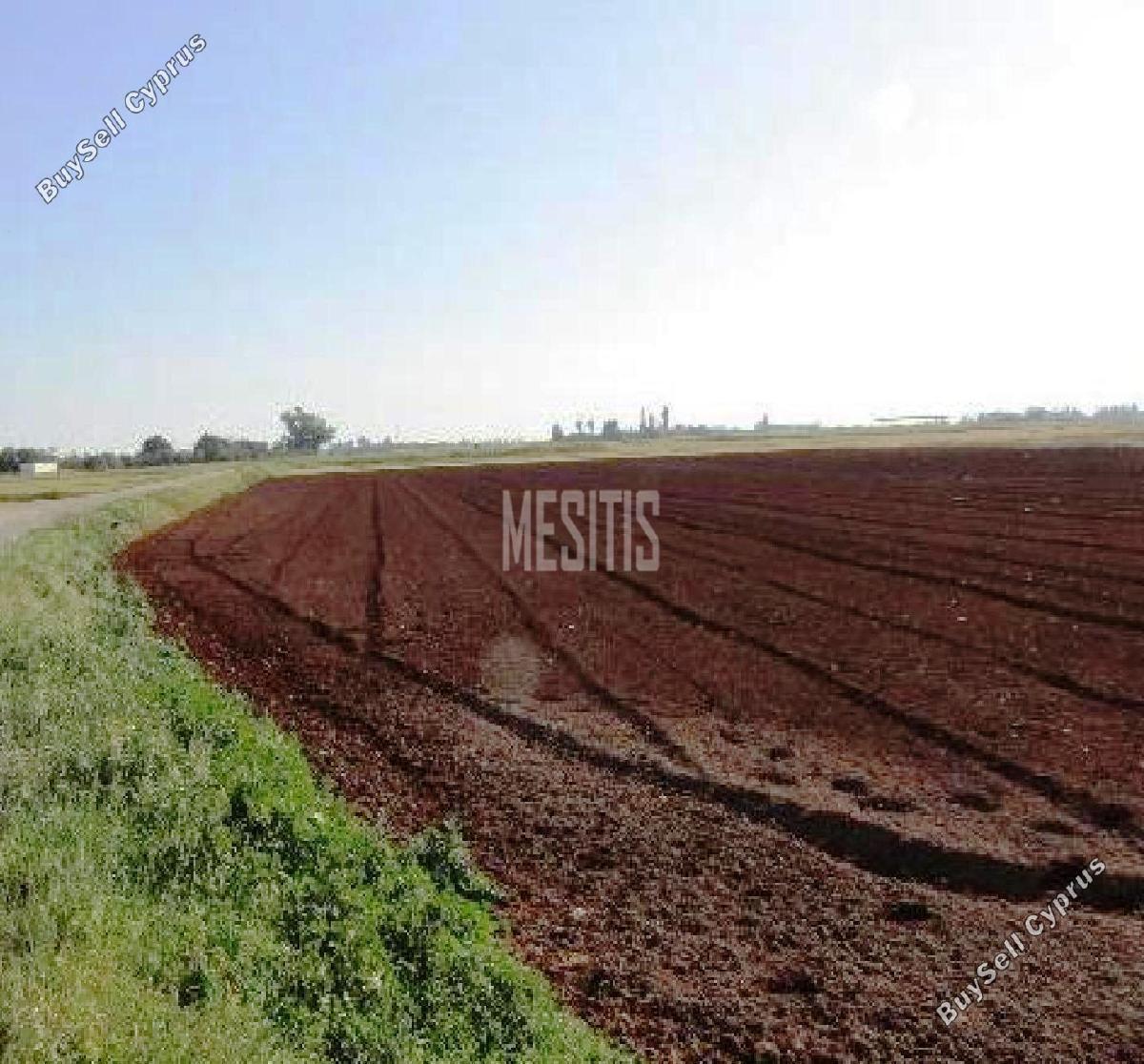 land for sale avgorou famagusta 8834079 image 17016593