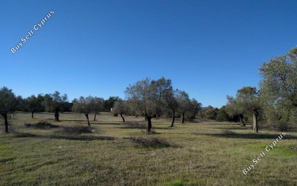 land for sale kornos larnaca 831079 image 1056877