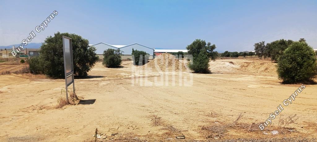 studio warehouse for sale tseri nicosia 975079 image 10472204