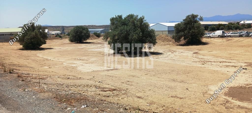 studio warehouse for sale tseri nicosia 975079 image 10472207