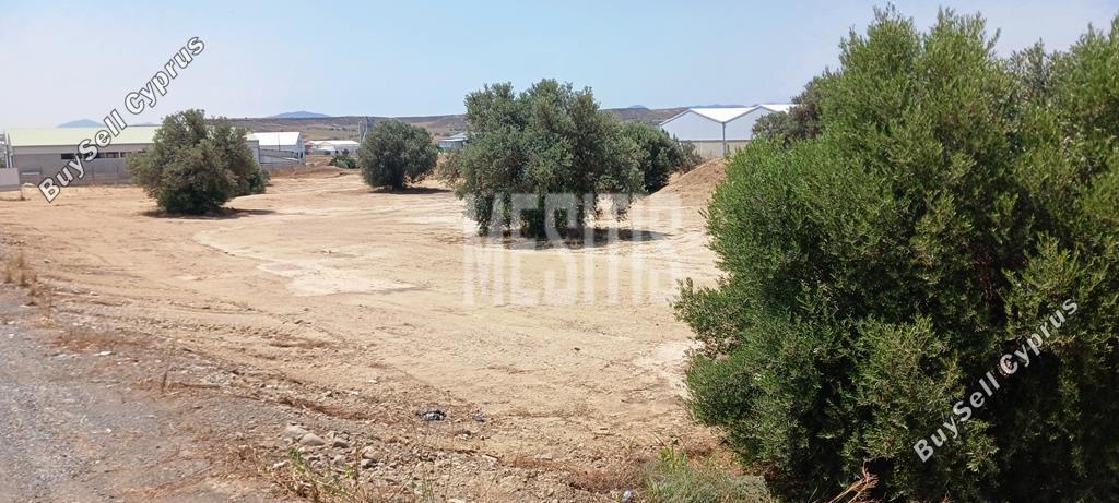 studio warehouse for sale tseri nicosia 975079 image 11037277