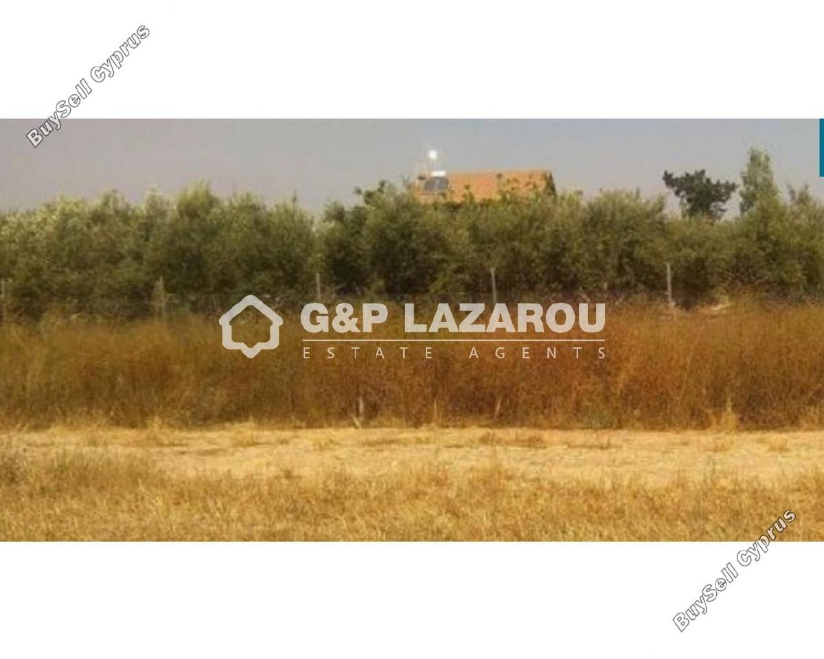 land for sale mazotos larnaca 1688179 image 6015168