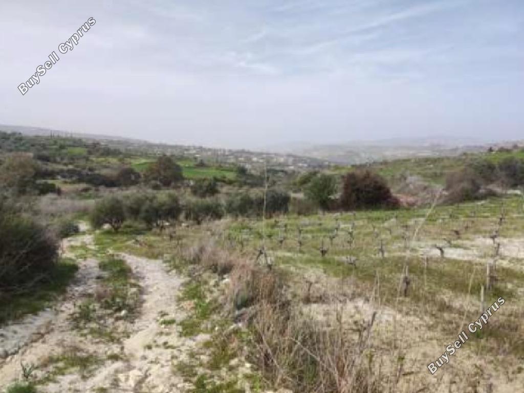 land for sale stroumbi paphos 8630179 image 16718083