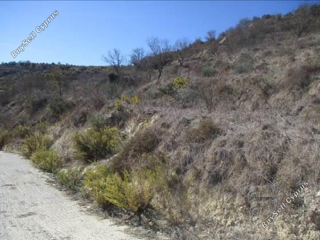 land for sale tsada paphos 974179 image 889219