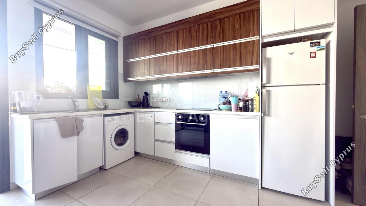 1 bedroom apartment for rent mackenzie larnaca 8804279 image 16781764