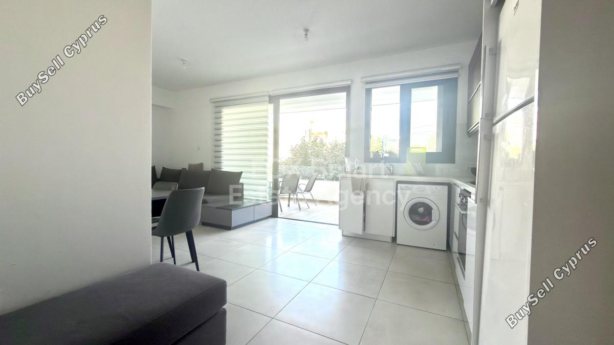 1 bedroom apartment for rent mackenzie larnaca 8804279 image 16781771