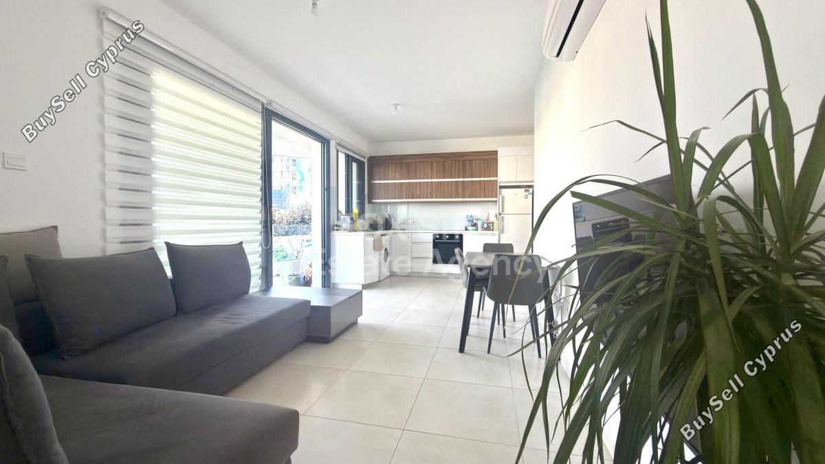1 bedroom apartment for rent mackenzie larnaca 8804279 image 16781774