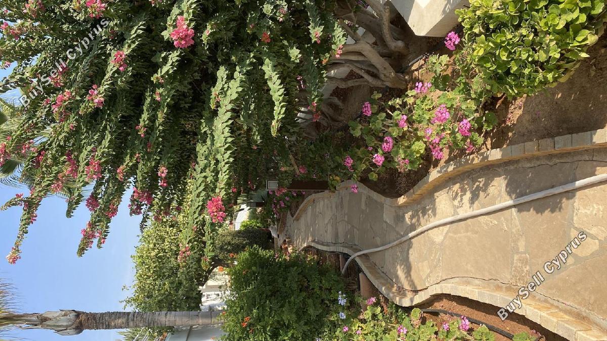 7 bedroom detached house for sale agia fyla limassol 7926279 image 15618100