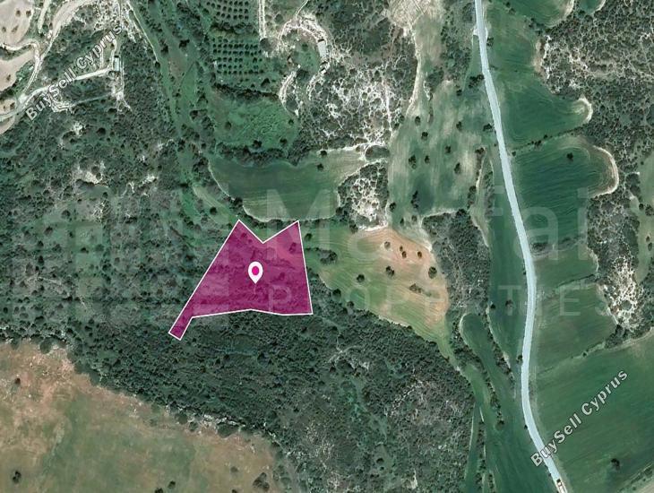 land for sale agios theodoros larnacas larnaca 7872279 image 15714478