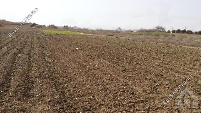 land for sale dromolaxia larnaca 7906279 image 11137065