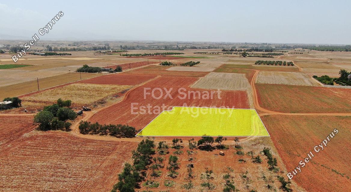 land for sale palaiometocho nicosia 1443279 image 7287370