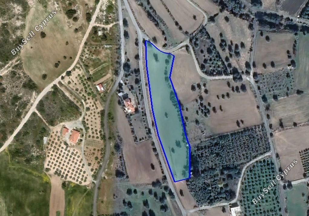 land for sale kalavasos larnaca 1547379 image 5885078