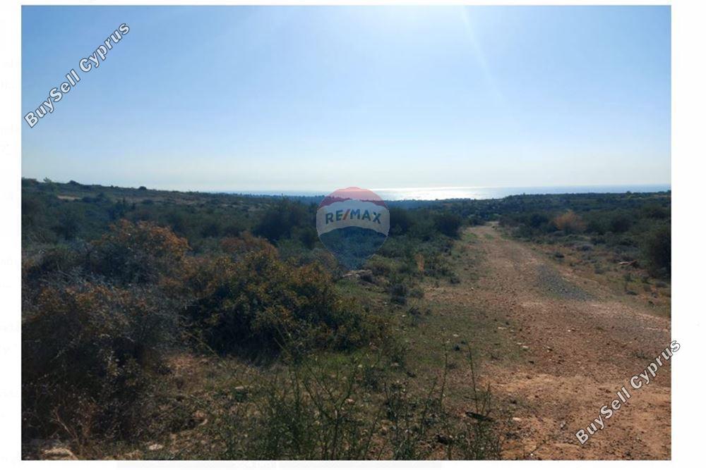 land for sale paramali limassol 1503379 image 15357004