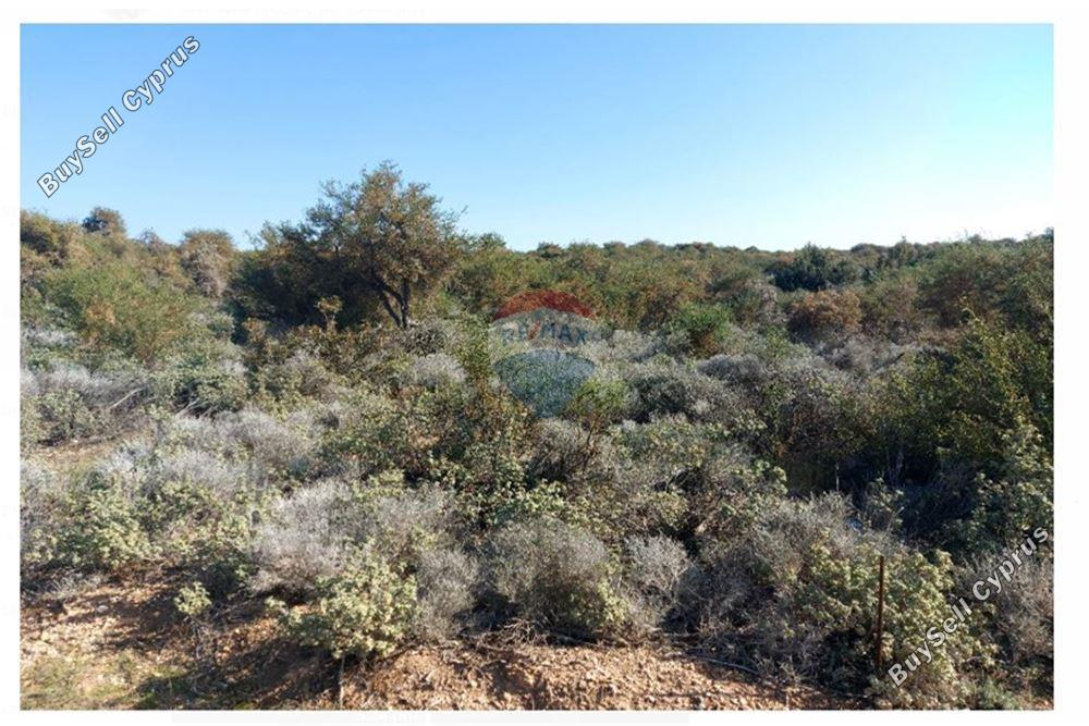 land for sale paramali limassol 1503379 image 15357005