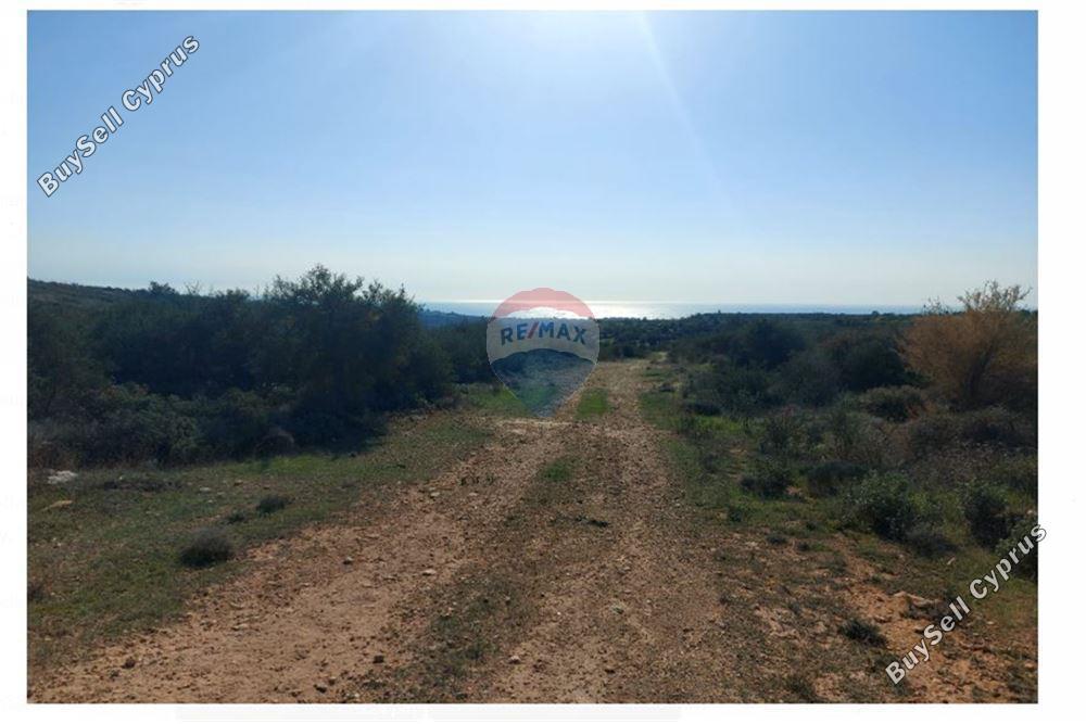 land for sale paramali limassol 1503379 image 15357006