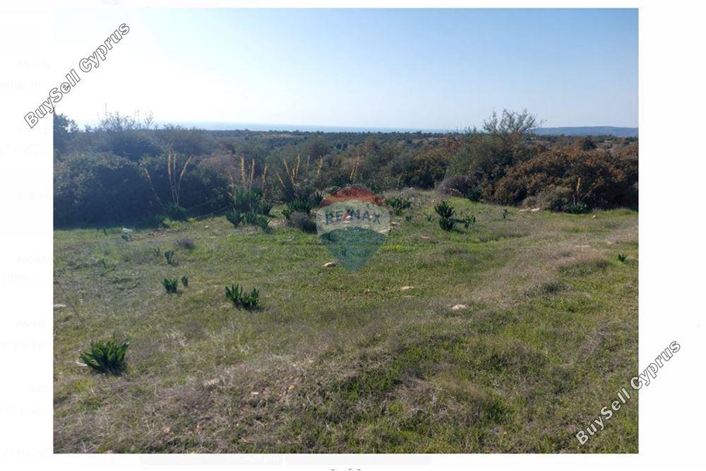 land for sale paramali limassol 1503379 image 15357007