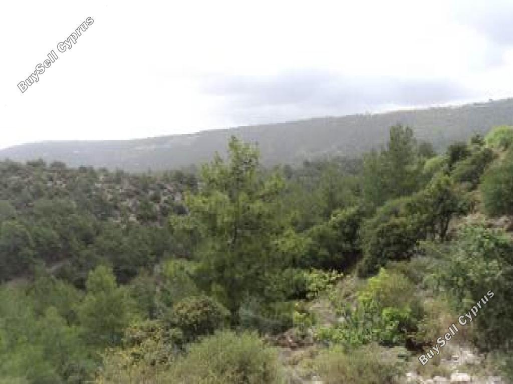 land for sale prastio paphos 1721379 image 15596821
