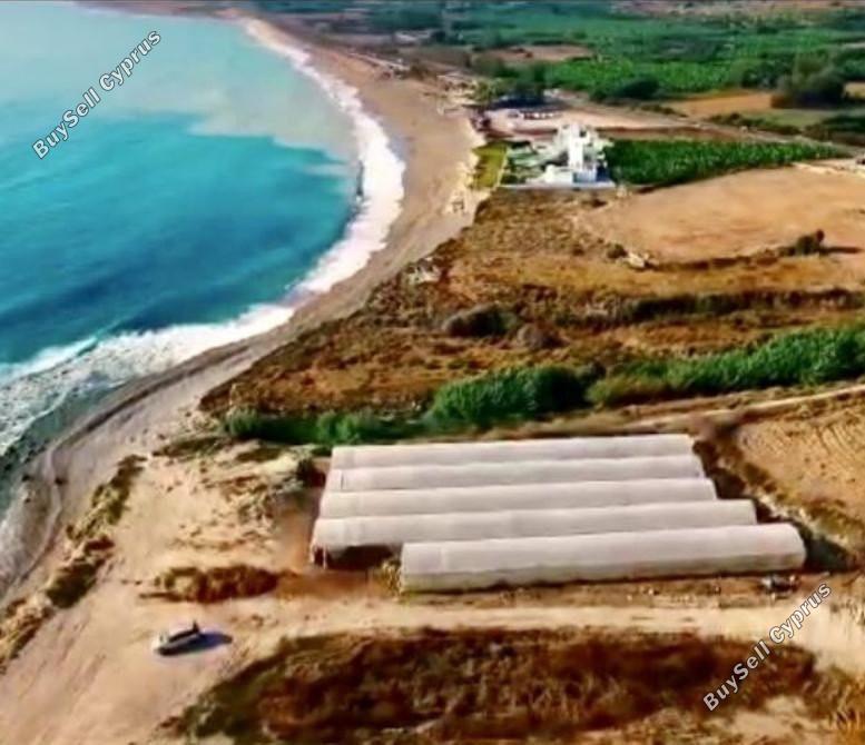 plot for sale kissonerga paphos 8237379 image 14228519