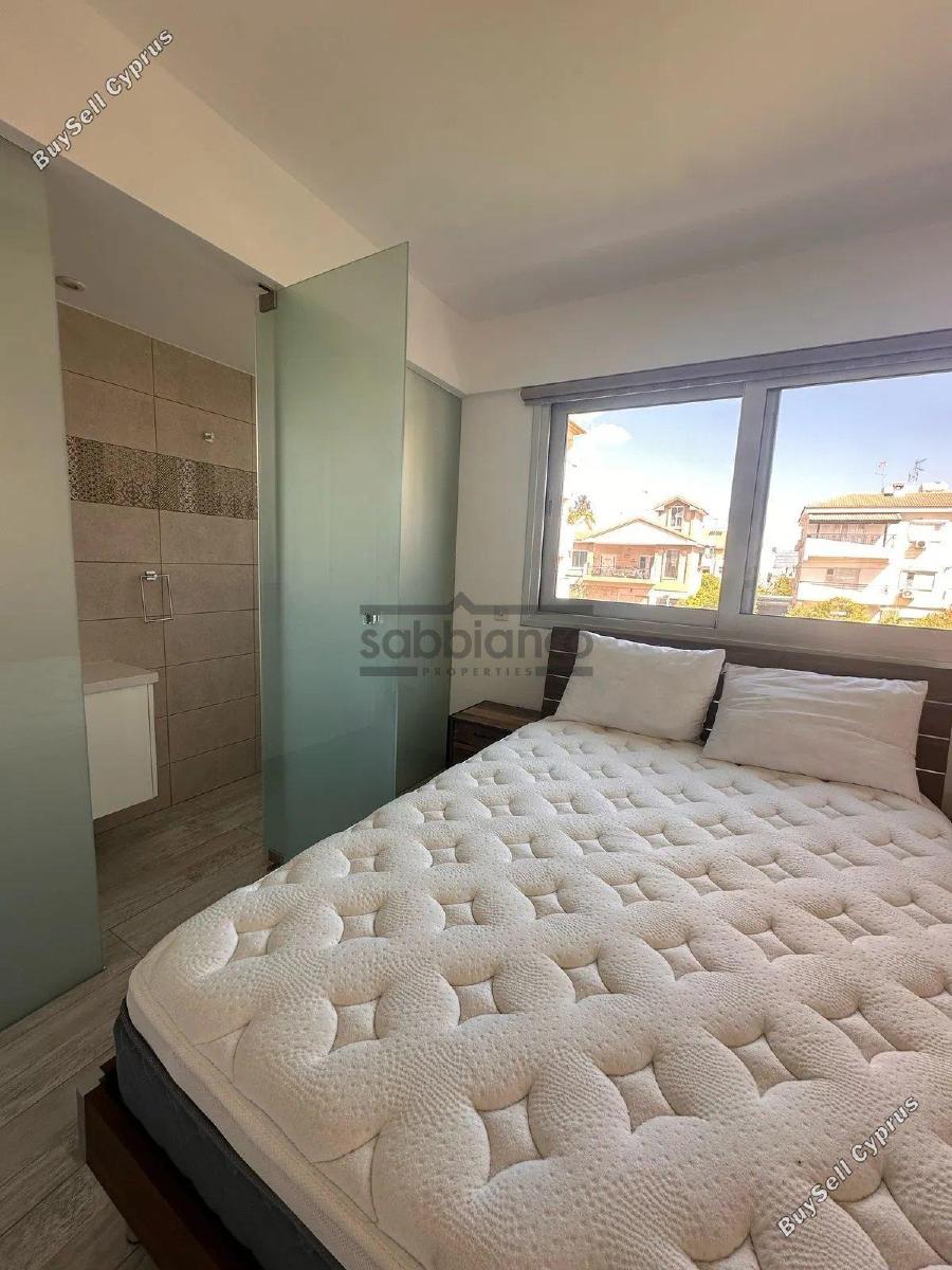 2 bedroom apartment for rent dasoupoli nicosia 8739479 image 16371364