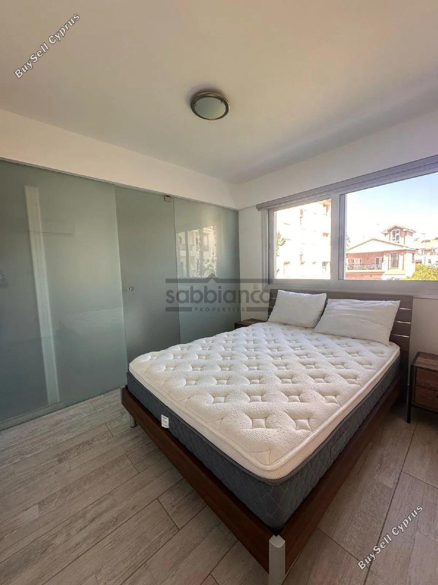 2 bedroom apartment for rent dasoupoli nicosia 8739479 image 16371367