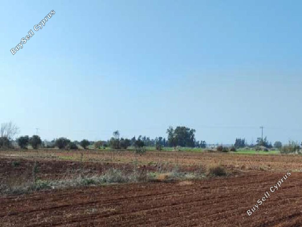 land for sale avgorou famagusta 7839479 image 10780829