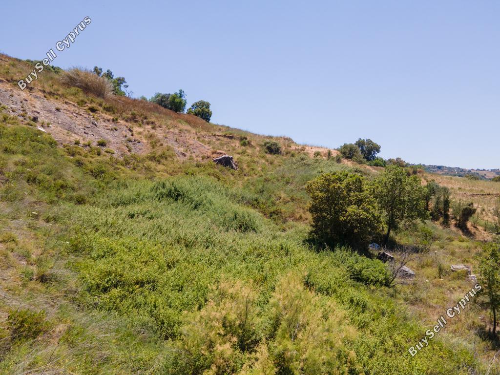 land for sale fyti paphos 1835479 image 15597859