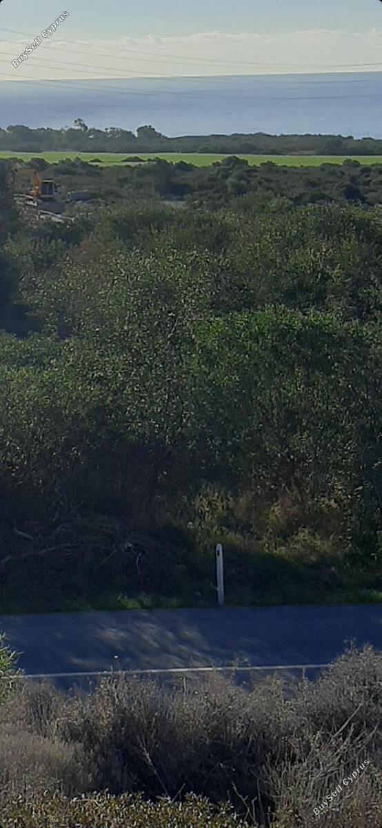 land for sale pyrgos limassol limassol 1249479 image 1983829