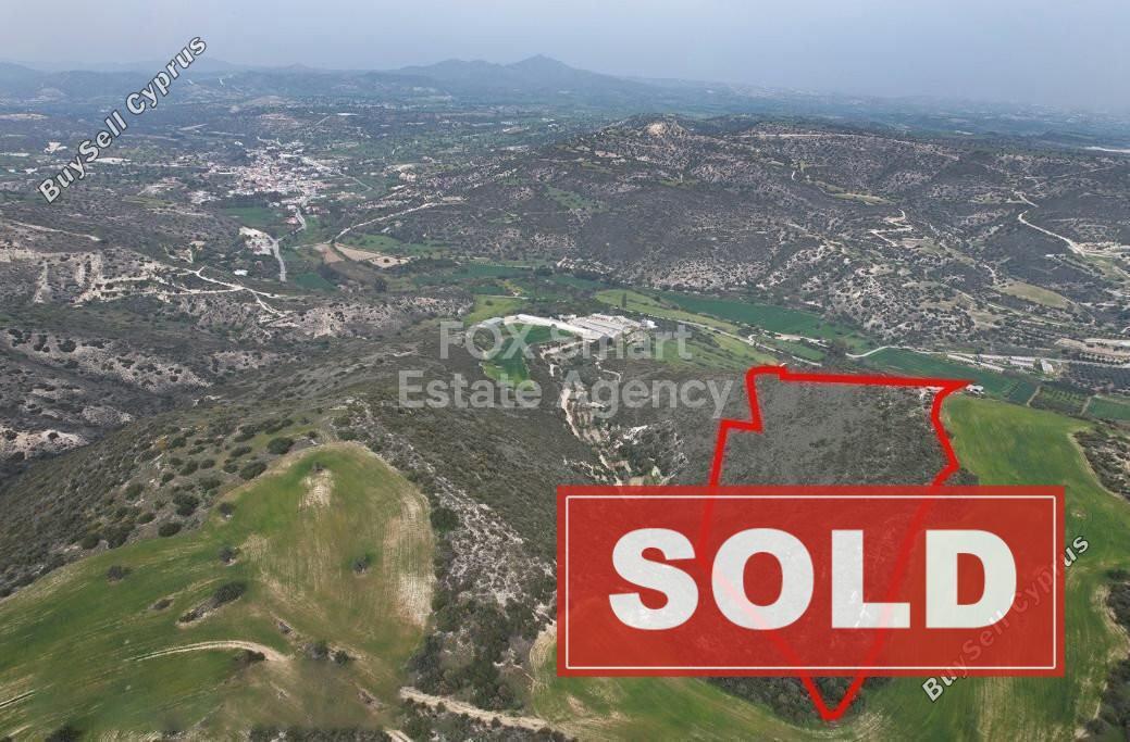 land sold agios theodoros larnacas larnaca 1225579 image 2321959