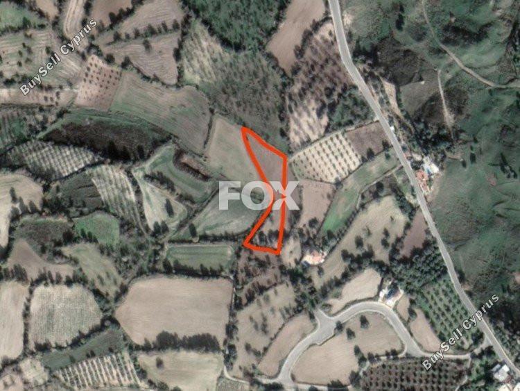 plot for sale lasa paphos 1159579 image 5526202