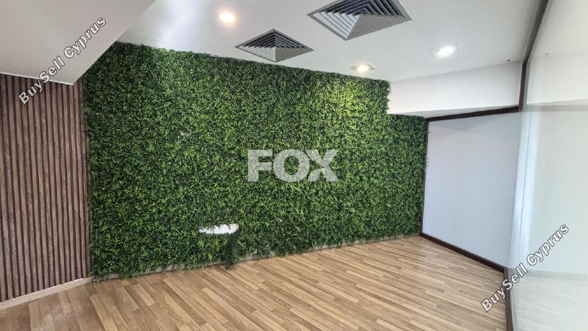 studio office for rent agia zoni limassol 1229679 image 17031665