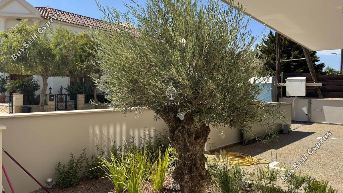 2 bedroom apartment for rent mesa gitonia limassol 7657779 image 14716136