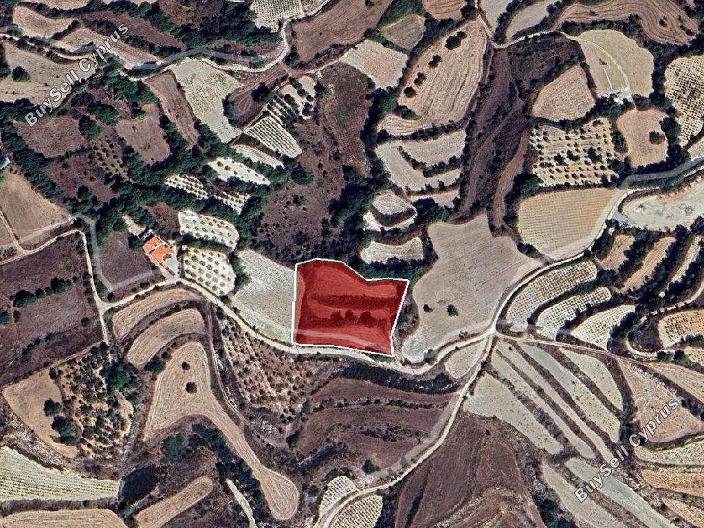 land for sale polemi paphos 8716779 image 16306243